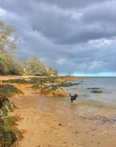 Photo of Others in Rosemarkie
