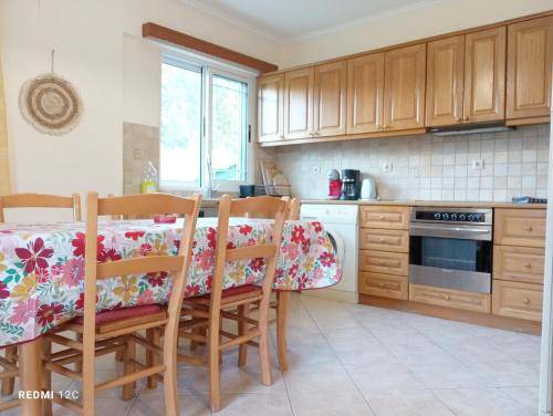 Photo of Kitchen in Vassiliki