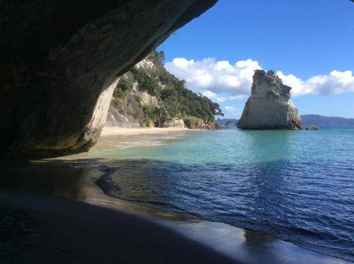 Photo of Others in Whitianga