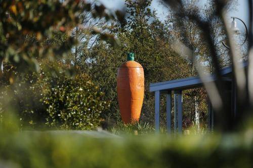 Photo of Outdoor in Ohakune