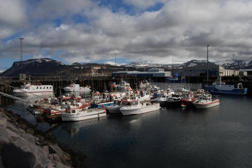 Photo of Others in Olafsvik