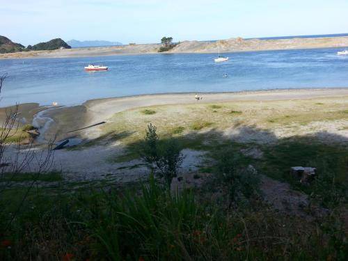 Photo of Others in Mangawhai Heads
