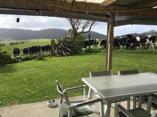 Photo of Patio Balcony in Mangawhai Heads