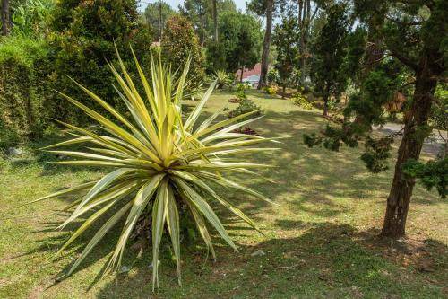 Photo of Outdoor in Karanganyar