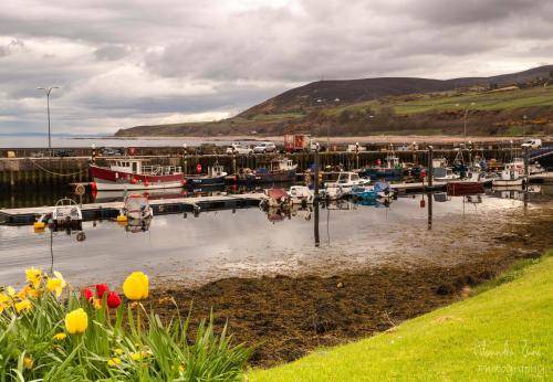 Photo of Others in Helmsdale