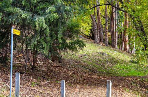 Photo of Others in West Hobart