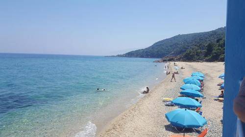 Photo of Others in Agia