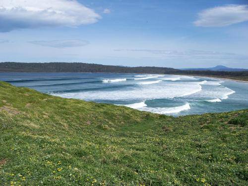 Photo of Others in South Bruny