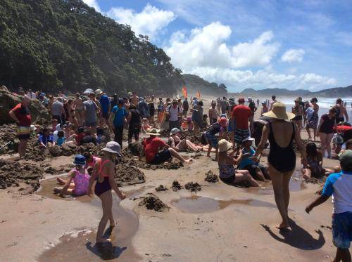 Photo of Others in Whitianga