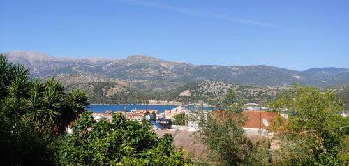 Photo of Others in Argostoli Town