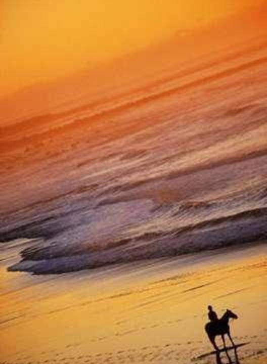 Photo of Human In Picture in New Plymouth