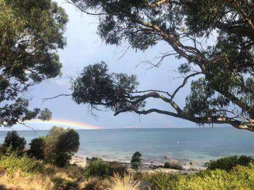 Photo of Others in Taroona