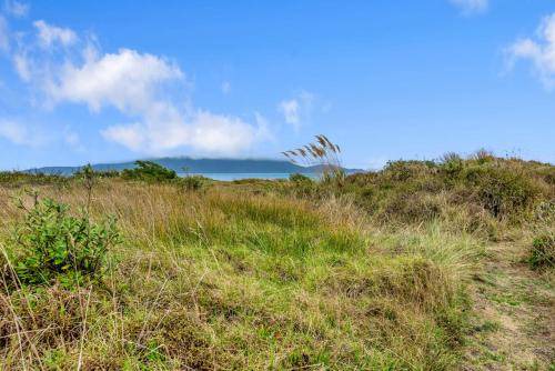 Photo of Others in Waikanae