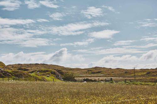 Photo of Others in Isle of Iona