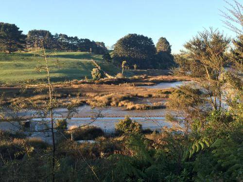 Photo of Others in Raglan