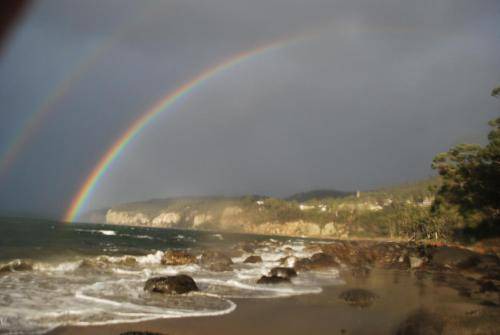 Photo of Others in Taroona