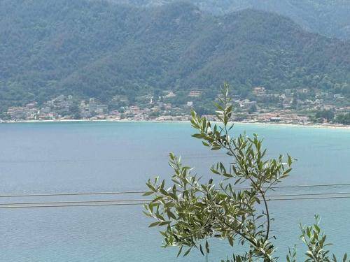 Photo of Others in Golden Beach