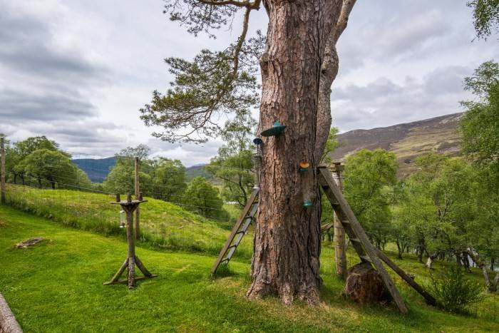 Photo of Others in Braemar