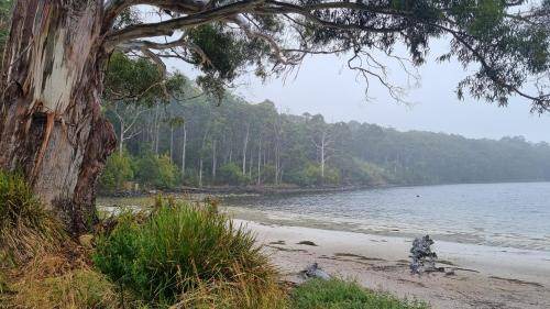 Photo of Others in Port Arthur