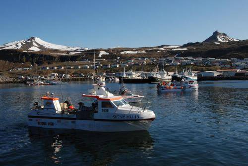 Photo of Others in Olafsvik
