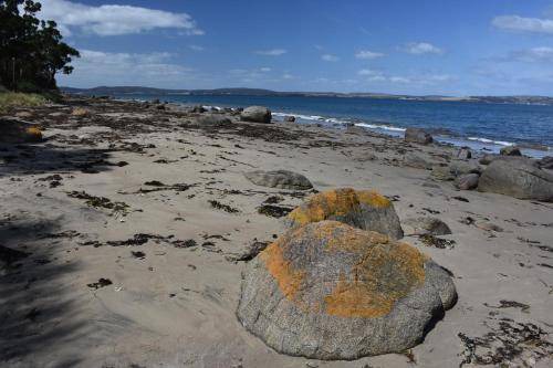 Photo of Others in Taroona