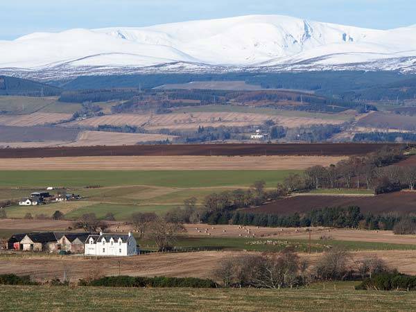 Photo of Others in Dingwall
