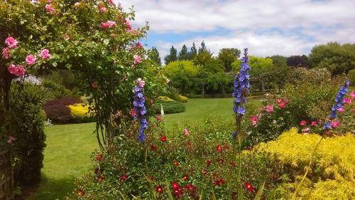 Photo of Others in Whanganui