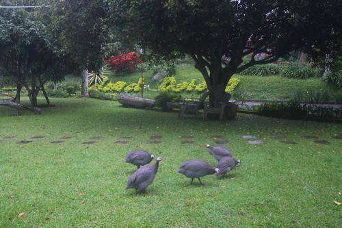 Photo of Others in Ambarawa