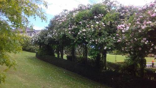 Photo of Others in Whanganui