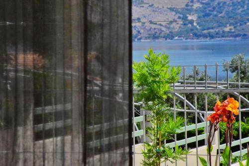 Photo of Others in Agios Dimitrios