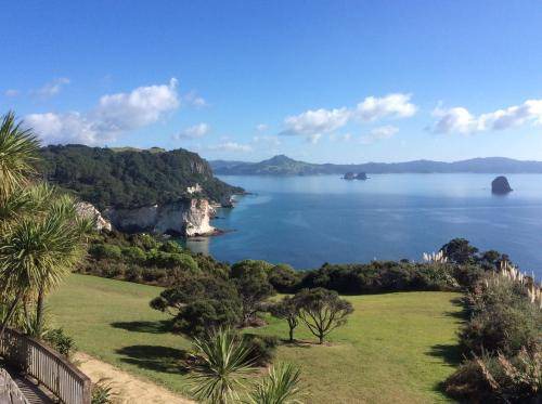 Photo of Others in Whitianga