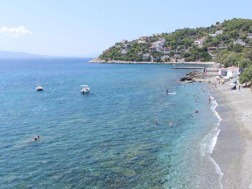 Photo of Others in Salamis