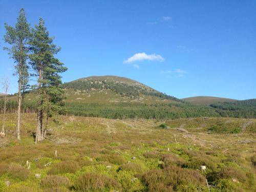Photo of Others in Kingussie