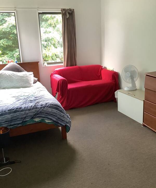 Photo of Others in Tauranga