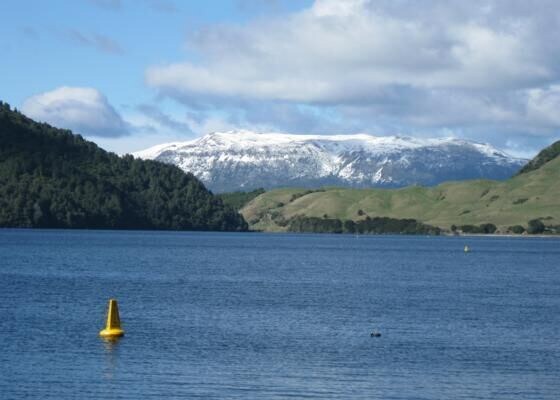 Photo of Others in Lake Okareka