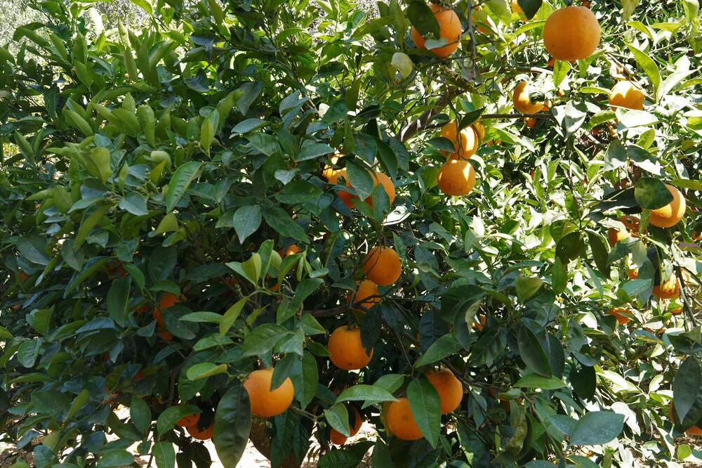 Photo of Outdoor in Agia