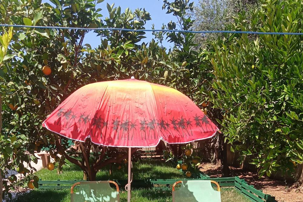 Photo of Outdoor in Agia