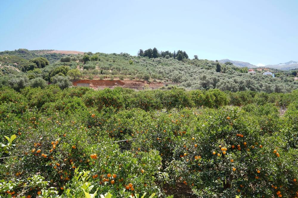 Photo of Outdoor in Agia