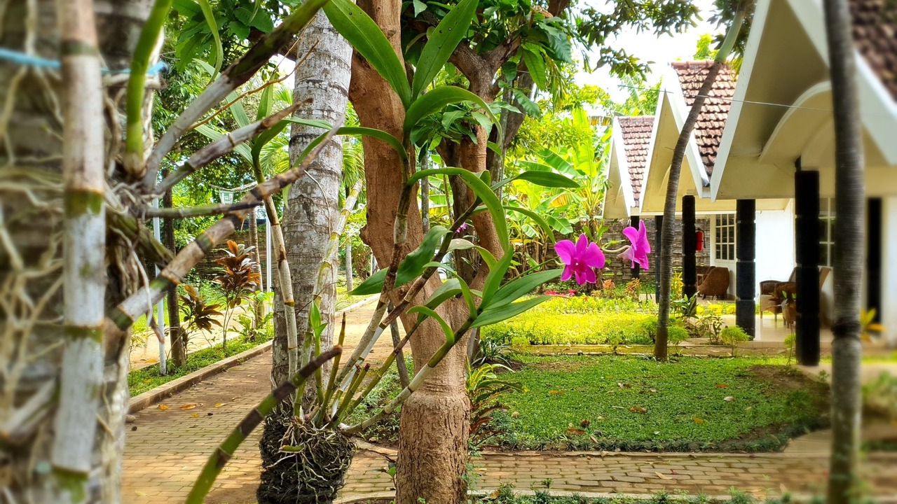 Photo of Outdoor in Tosari