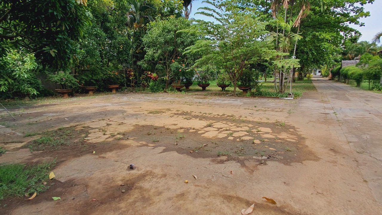 Photo of Outdoor in Tosari