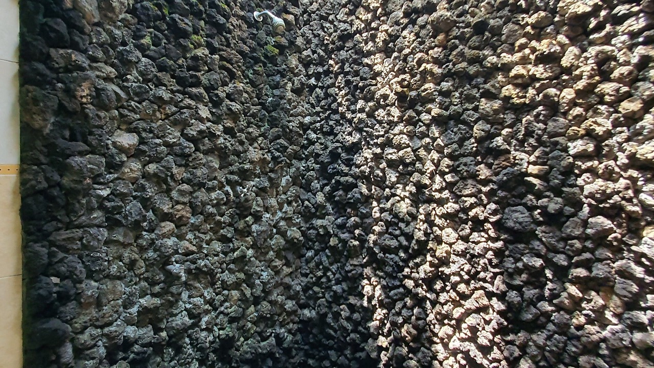 Photo of Others in Tosari