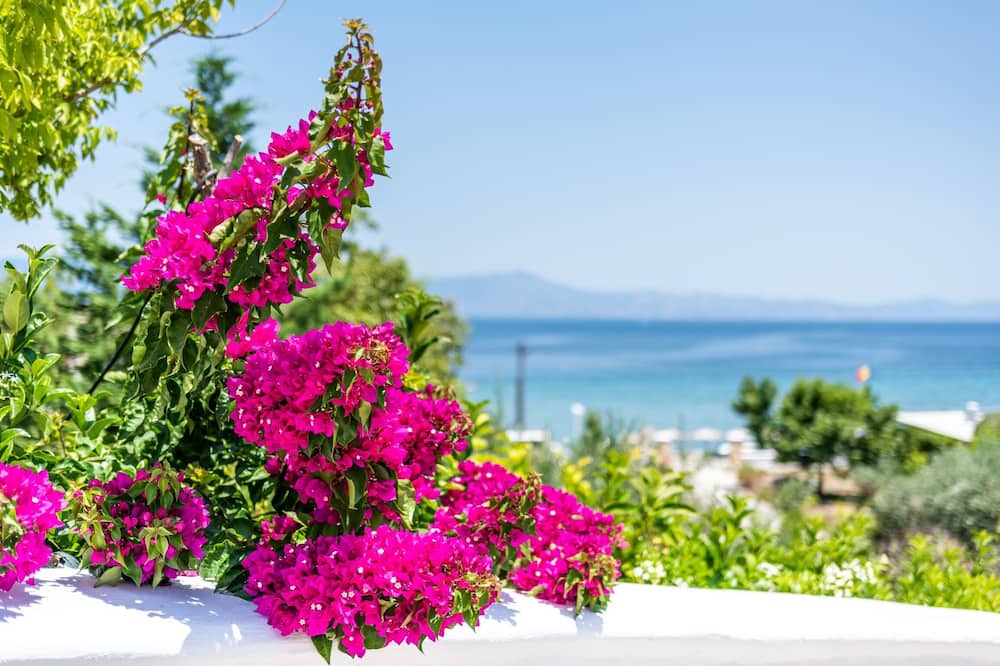 Photo of Others in Arkitsa