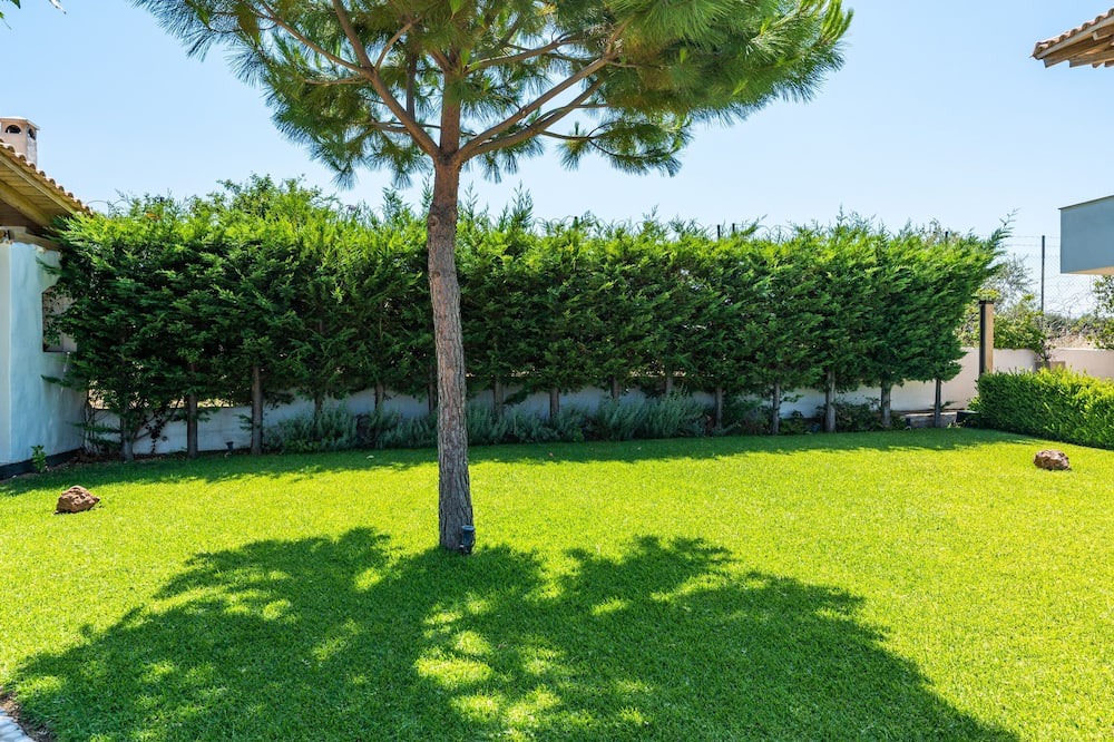 Photo of Outdoor in Arkitsa