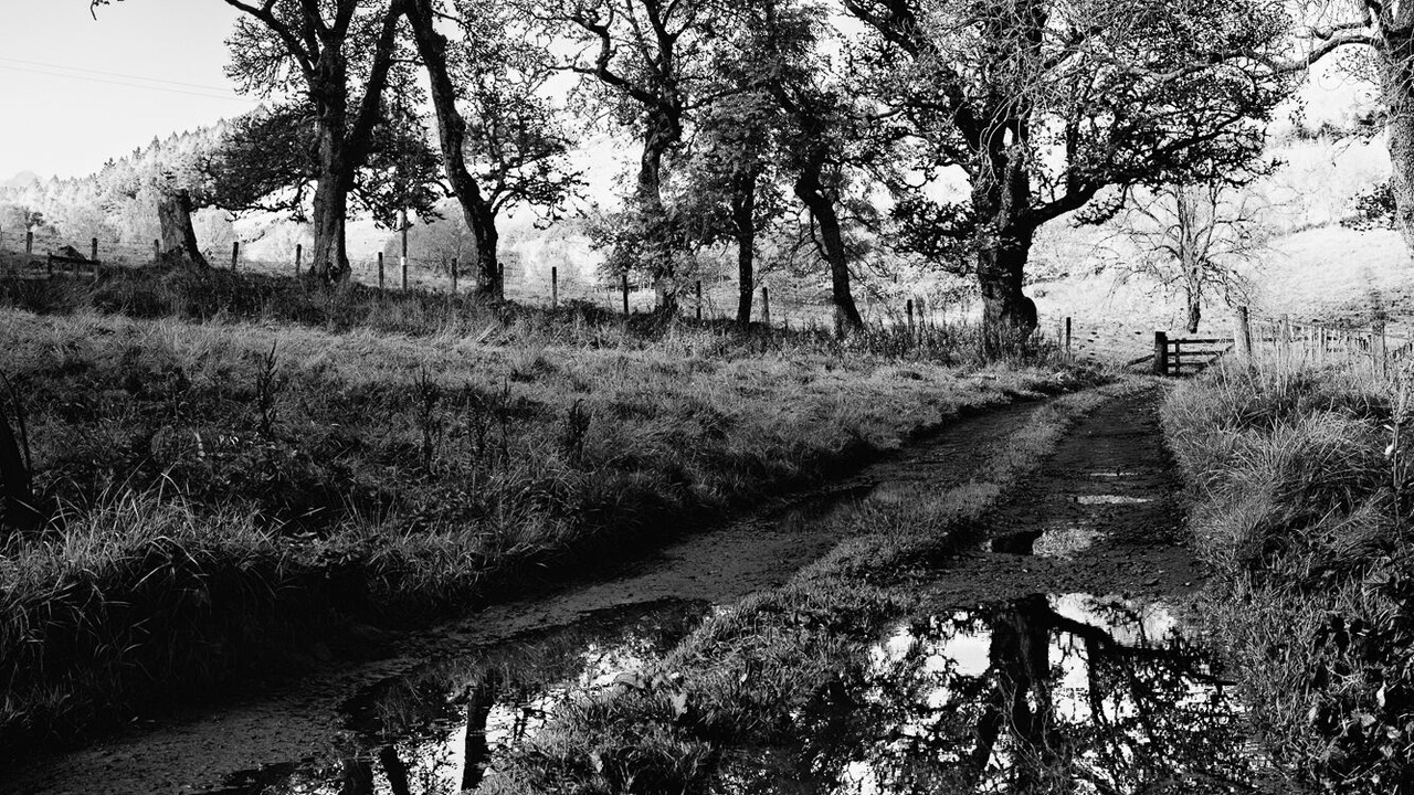Photo of Others in Strathtummel