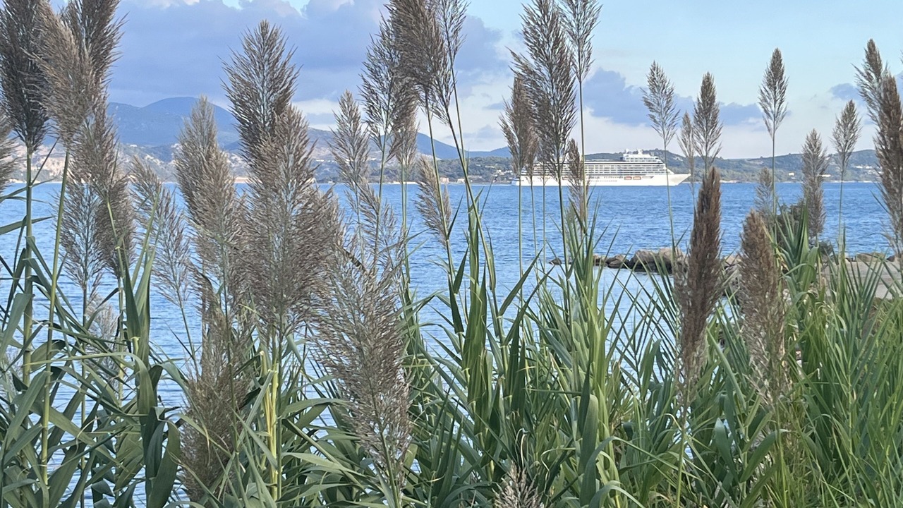 Photo of Others in Argostoli Town