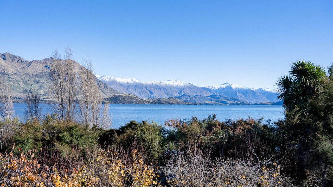 Photo of Others in Wanaka