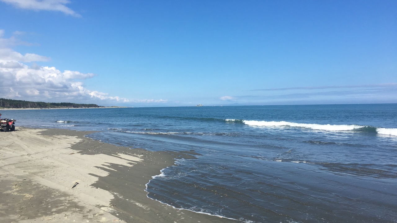 Photo of Others in Foxton Beach