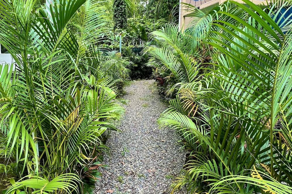Photo of Outdoor in Puerto Viejo de Talamanca