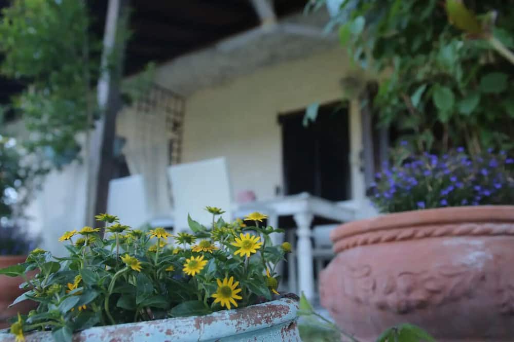 Photo of Outdoor in Mikra Mandinia