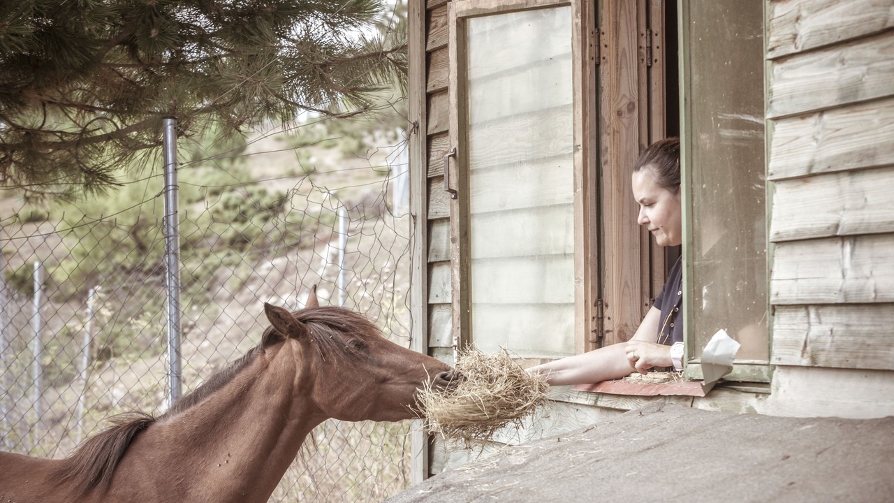 Photo of Others in Metsovo
